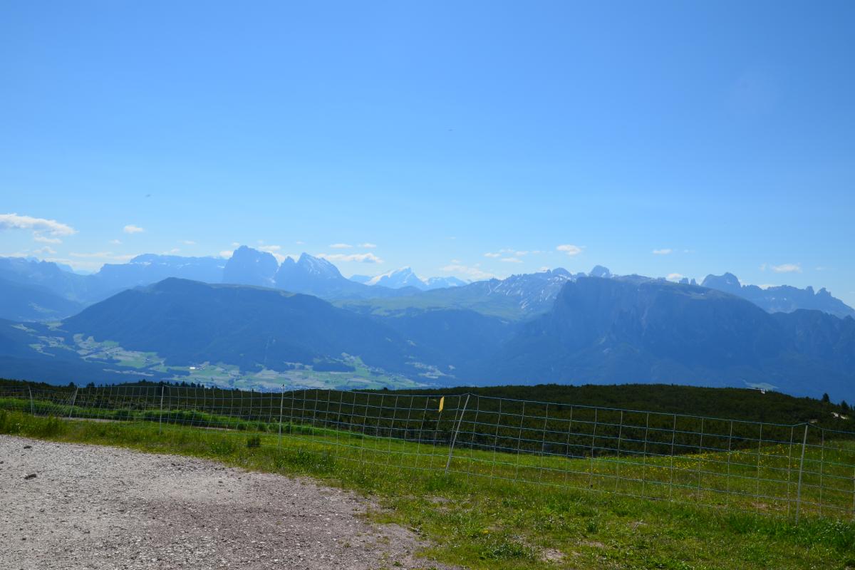 Latschenbrennerei und Platzer Alm 23.06.2020